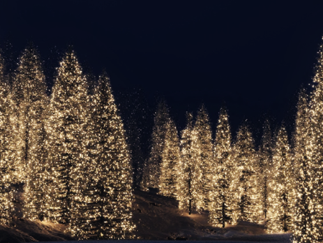 White label vs Private label